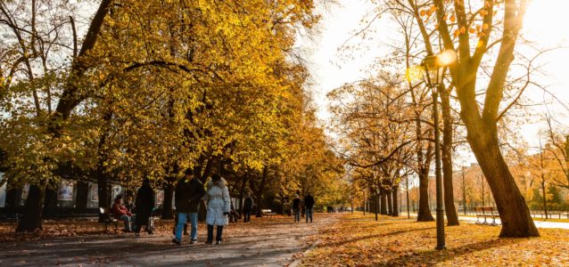 Indana Fall Festivals